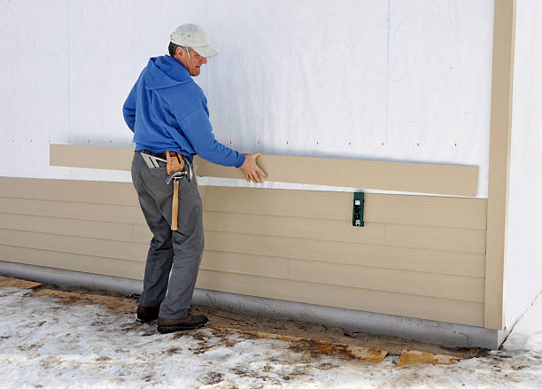 Best Insulated Siding Installation  in Somonauk, IL